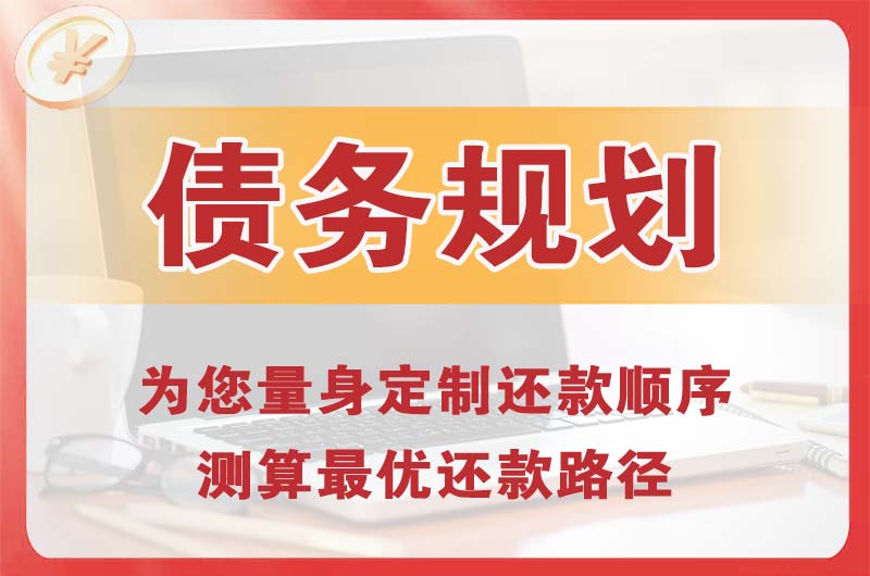 百色债务规划